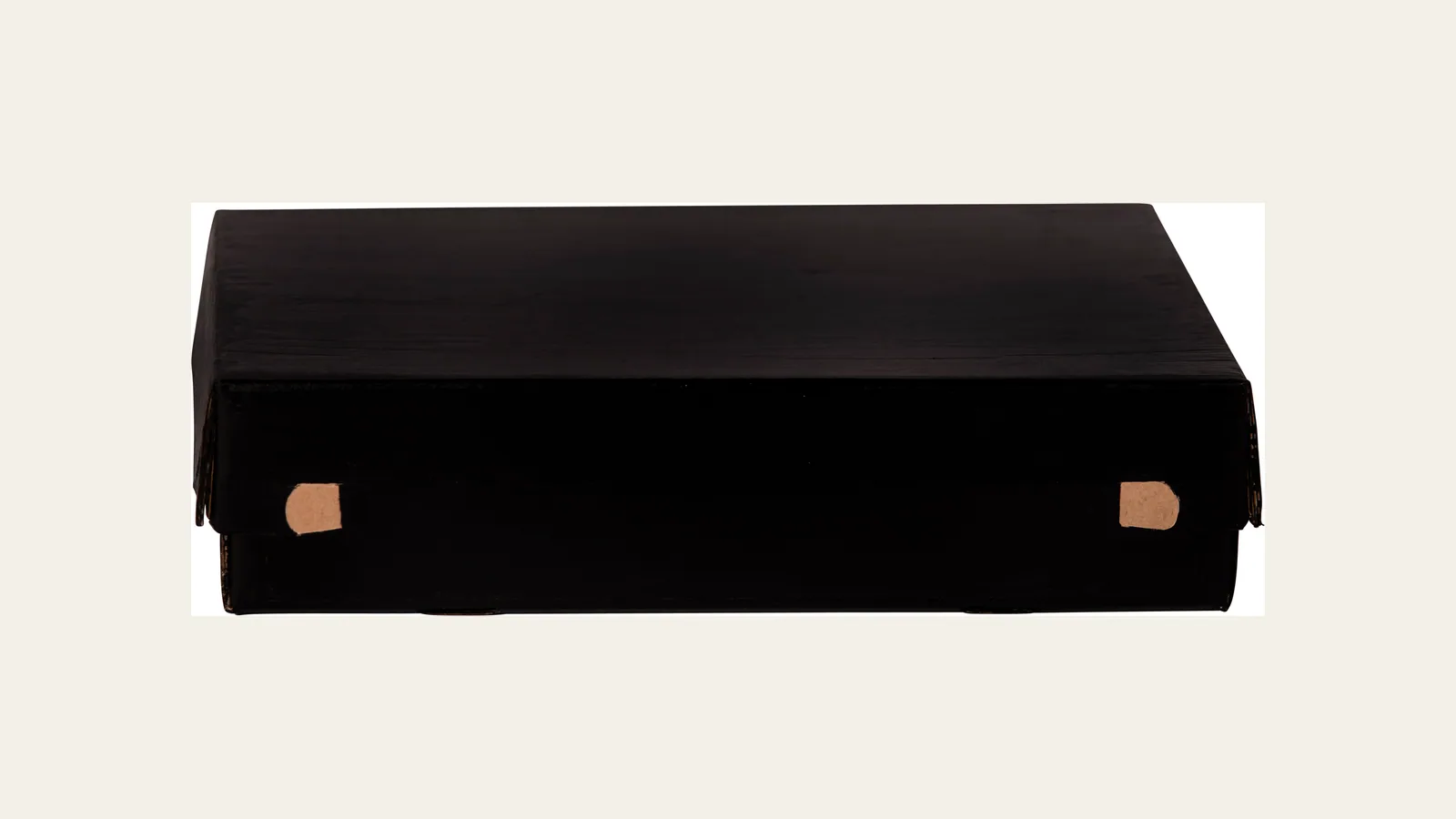 Productfoto van een verzenddoos 310×230×100 mm zwart van packCHAMPION op een lichte achtergrond.