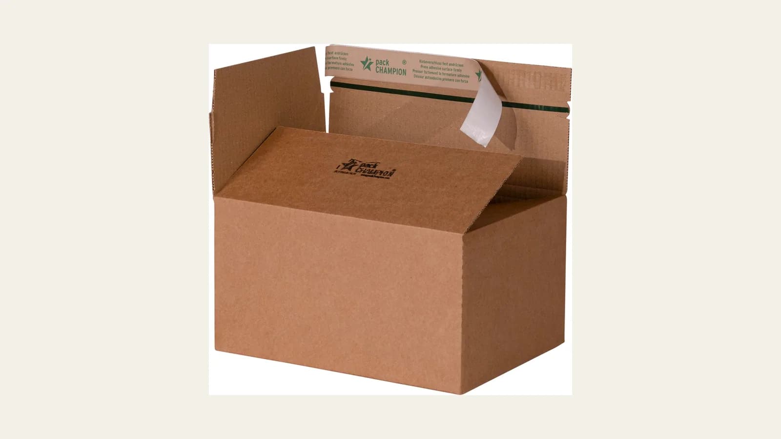 Productfoto van een verzenddoos 305×230×160 mm bruin van packCHAMPION op een lichte achtergrond.